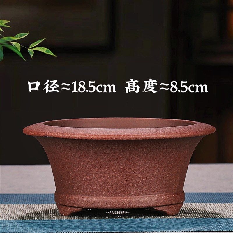 精品紫砂花盆小盆景盆多肉黑松盆栽盆云竹金弹子菖蒲紫砂透气圆盆,鲜花速递/花卉仿真/绿植园艺,花盆,淘宝优惠券,粉丝福利购,淘宝优惠卷