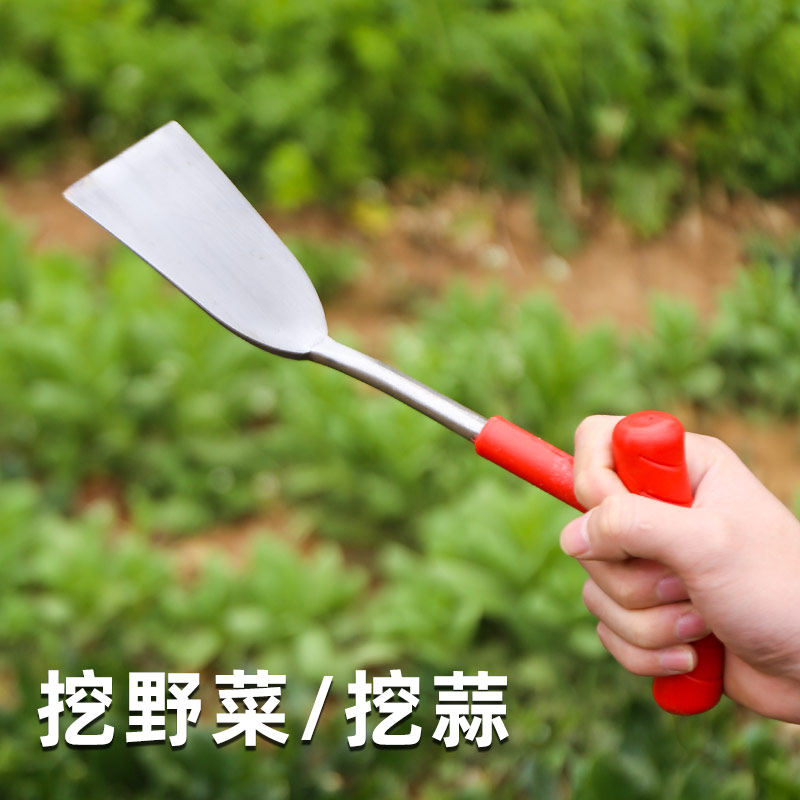 不锈钢蒜铲挖野菜神器园艺种花除草工具户外挖土采药材专用小铲子