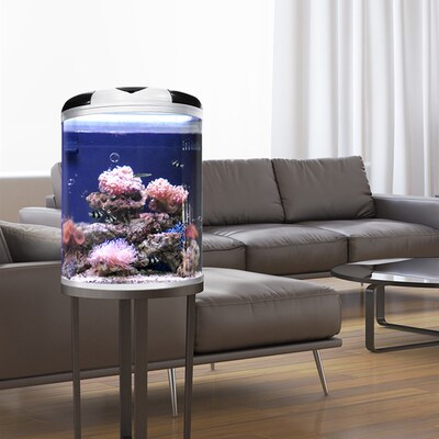 闽江半圆形玻璃鱼缸水族箱客厅家用小型圆柱电视柜桌面生态免换水