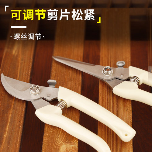 果树修枝粗枝剪刀园艺园林修花枝剪家用强力花剪子神器剪枝剪刀