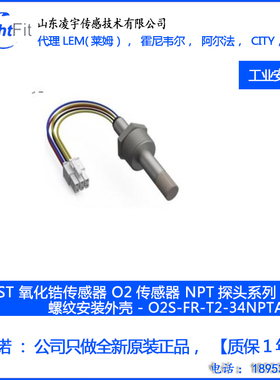 极限电流型氧化锆氧气传感器 - SO-E2-250  10 ppm~96%氧气