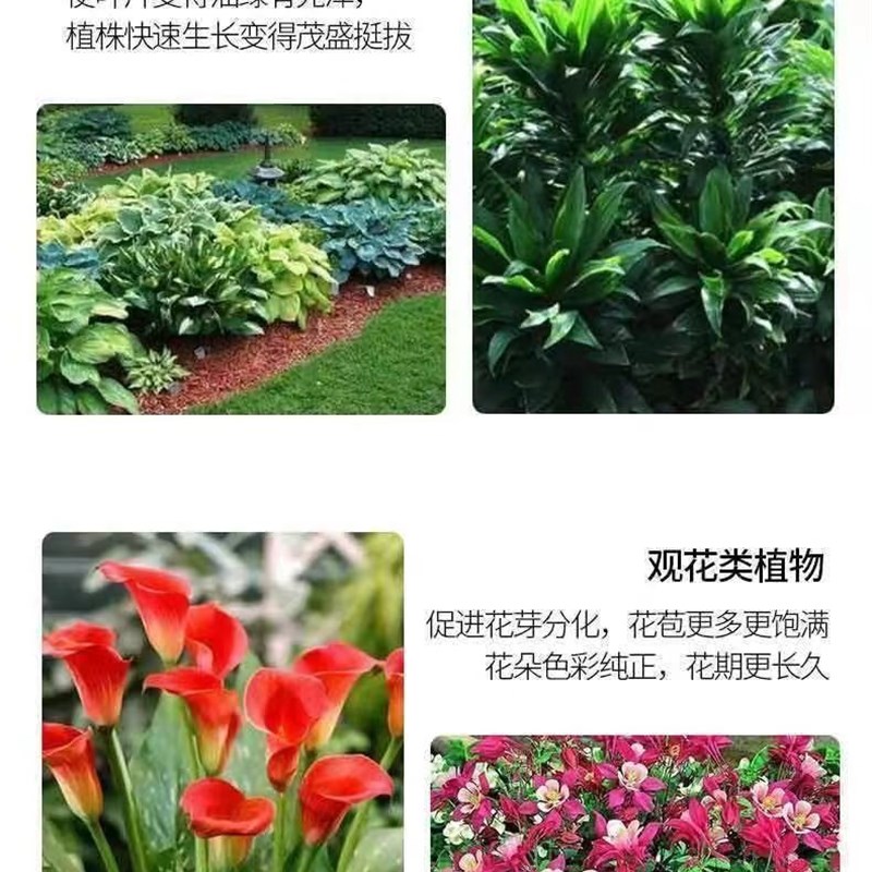 免稀释营养液植物通用花肥养花家用肥料一喷绿盆栽水培绿萝叶面肥