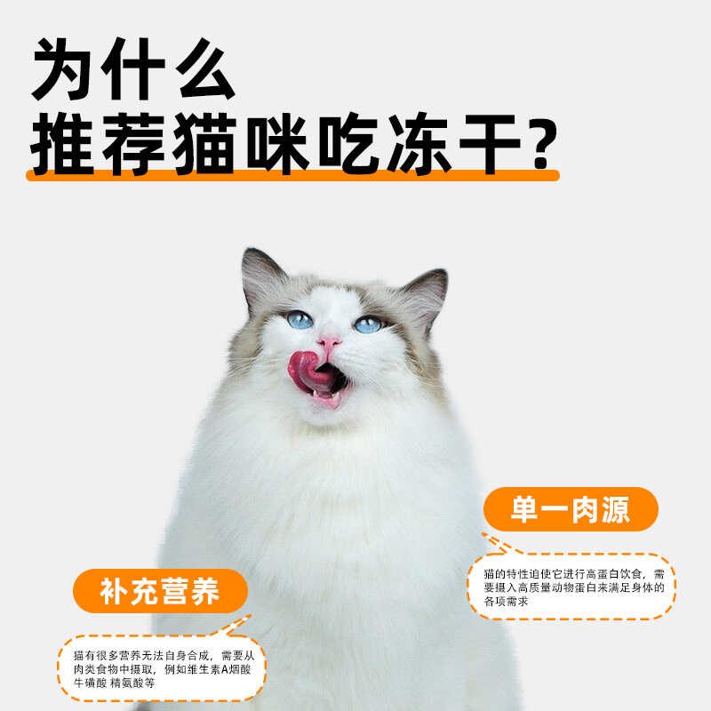 冻干虾仁猫零食虾干营养增肥发腮补钙宠物猫咪狗狗全阶段通用猫粮