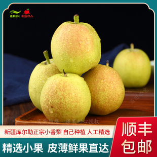 新疆库尔勒香梨全母梨应季水果新鲜脆甜多汁产地直发梨整箱5/9斤