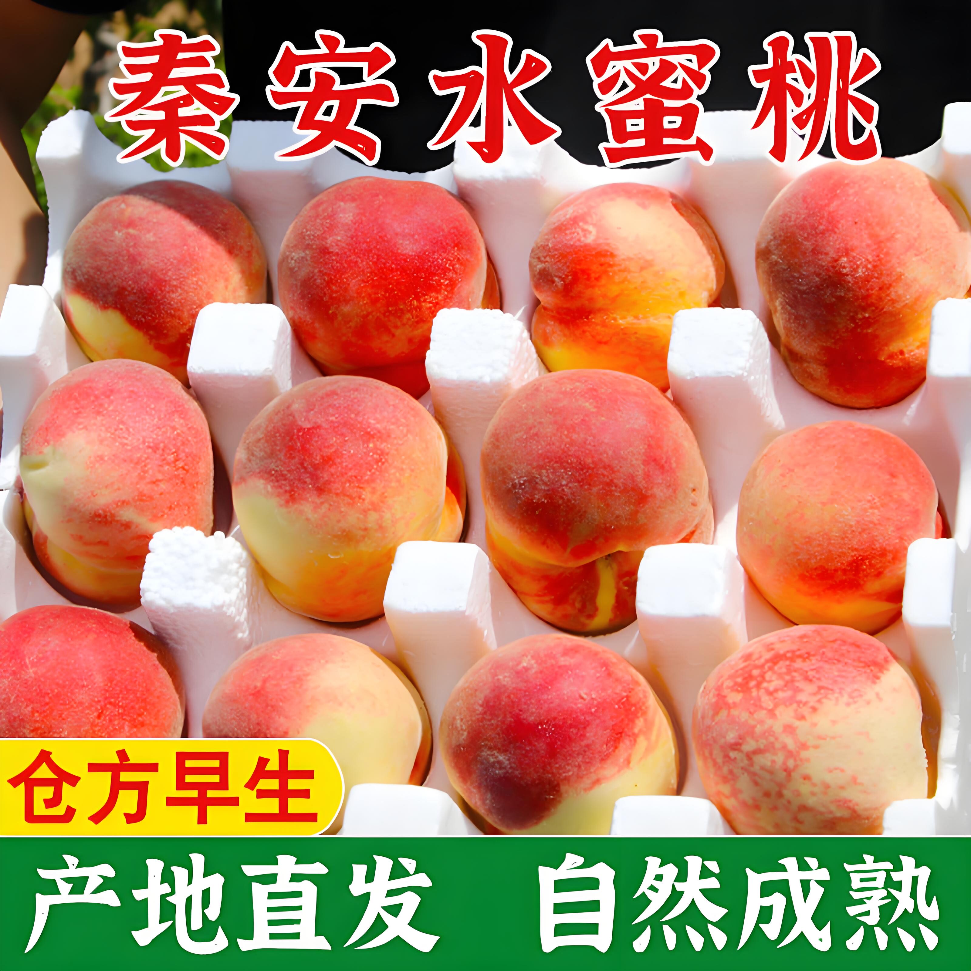甘肃秦安水蜜桃仓方早生