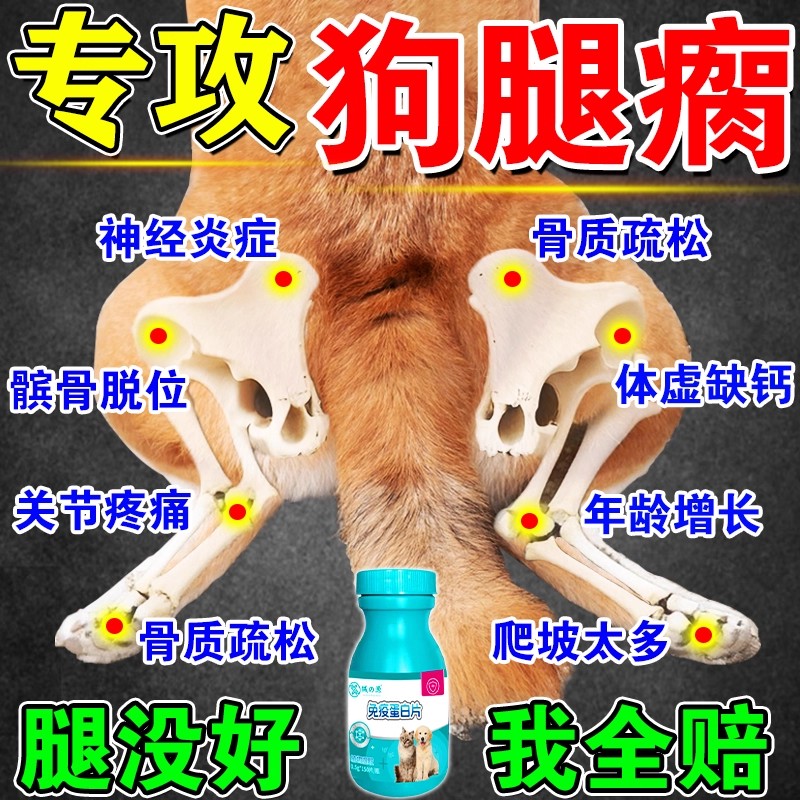 狗狗腿瘸关节炎后腿瘫专用药