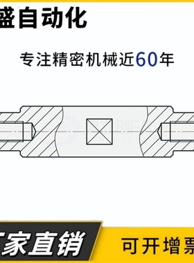 线性导向轴SFPH SSFPH PSFPH PSSFPH两端台阶内螺纹带扳手槽型