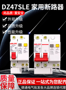 德力西空气开关带漏电保护器DZ47SLE家用断路器220v漏保短路