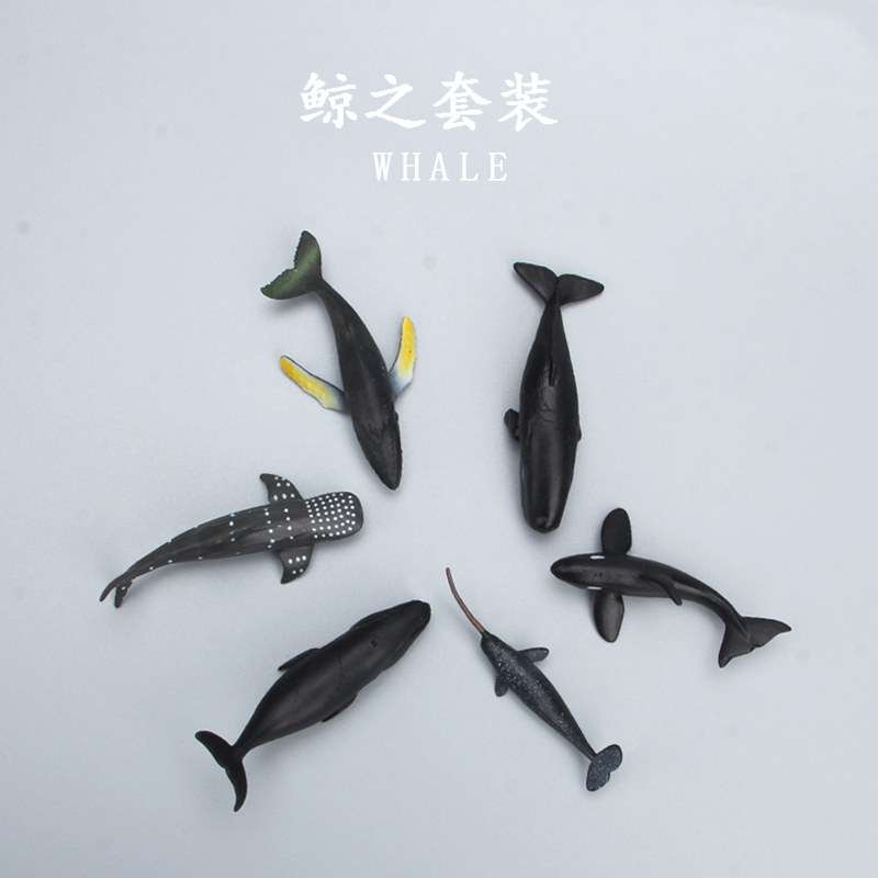 仿真小鲨鱼鲸鱼认知玩具