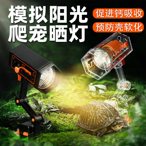 乌龟爬宠晒背灯恒温暖灯太阳灯
