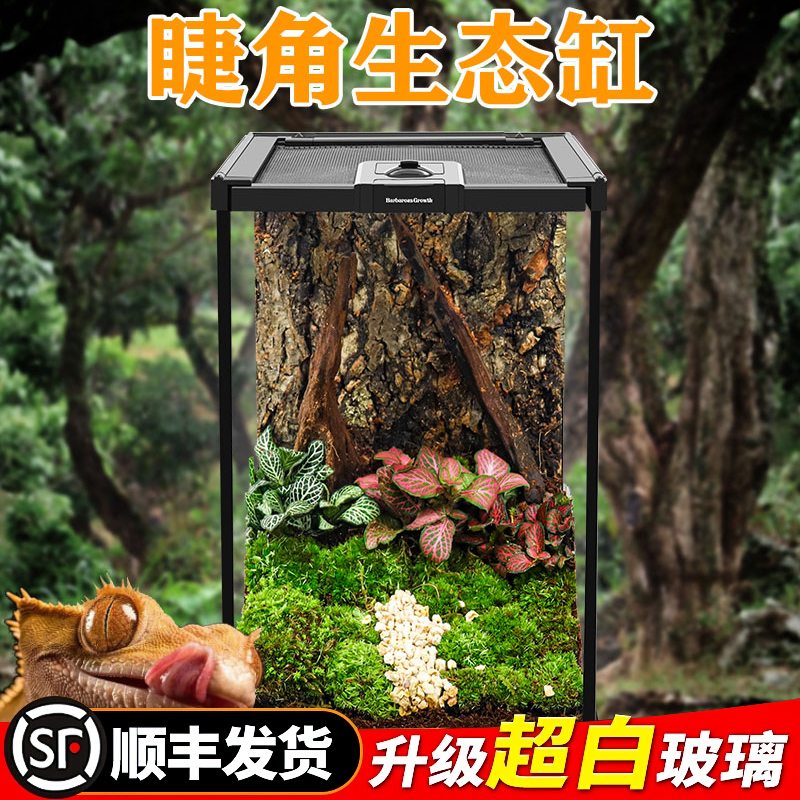BG树栖睫角专用爬宠玻璃饲养箱