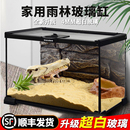 爬宠物蛇玻璃饲养箱角蛙蜘蛛蜥蜴守宫饲养盒雨林生态螃蟹缸寄居蟹