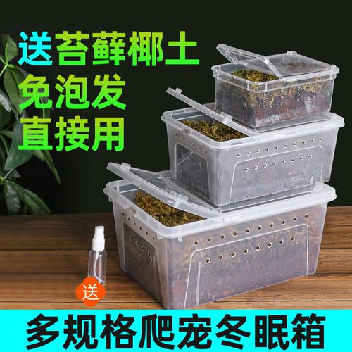 小黄缘乌龟冬眠箱神器冬眠泥