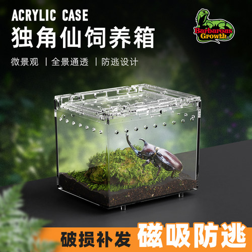 小型亚克力透明昆虫饲养盒人渣盒蜘蛛独角仙蜗牛螳螂甲虫跳珠蛐蛐