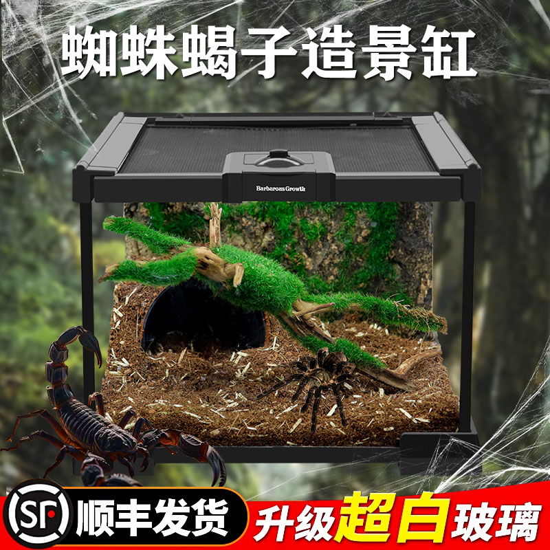 BG蜘蛛昆虫生态造景饲养盒玻璃缸