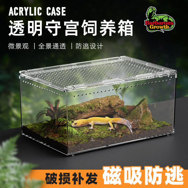亚克力爬宠豹纹瘤尾守宫饲养箱鬃狮蜥蜴蛇爬虫蜘蛛蝎子角蛙饲养盒