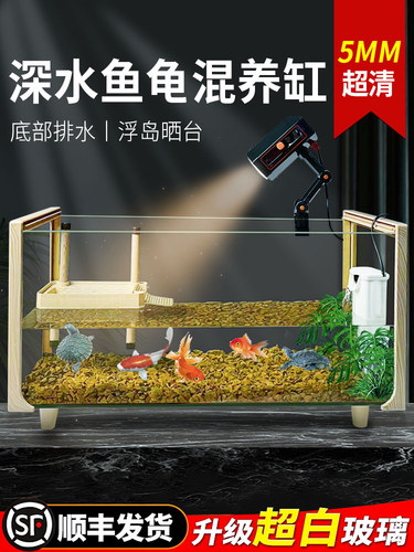 玻璃龟缸，家庭客厅龟缸，梯田生态美化，小型鱼缸，鱼龟混合缸