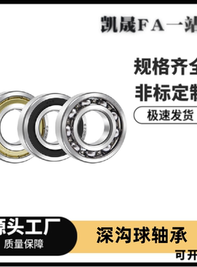 SB6000/6001/6002/6003/6004/6005/6006/6008/6010ZZ深沟滚珠轴承