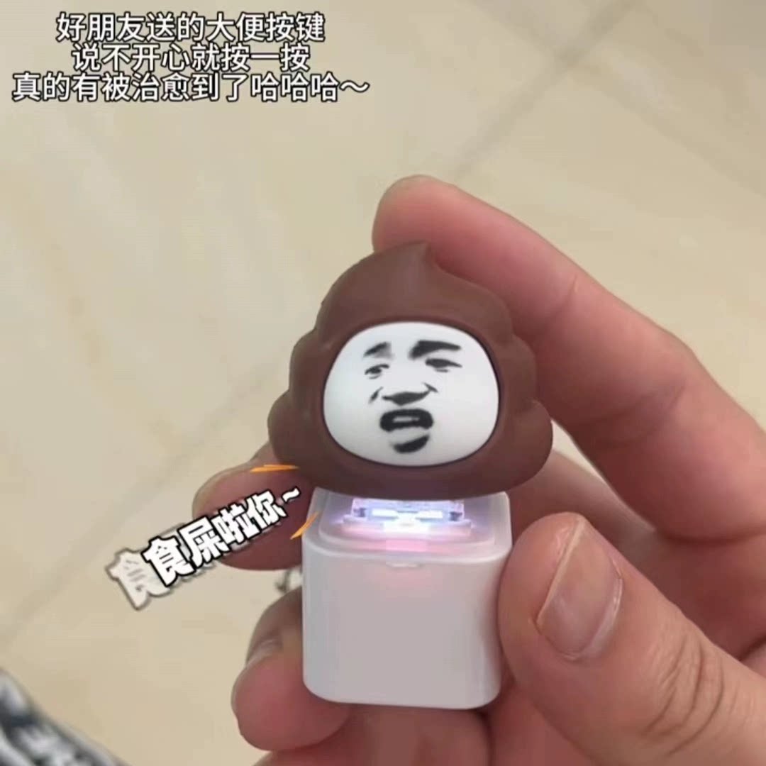 食屎啦你乌蝇哥按键发光音效搞笑创意钥匙扣挂件解压发声语音公仔图片