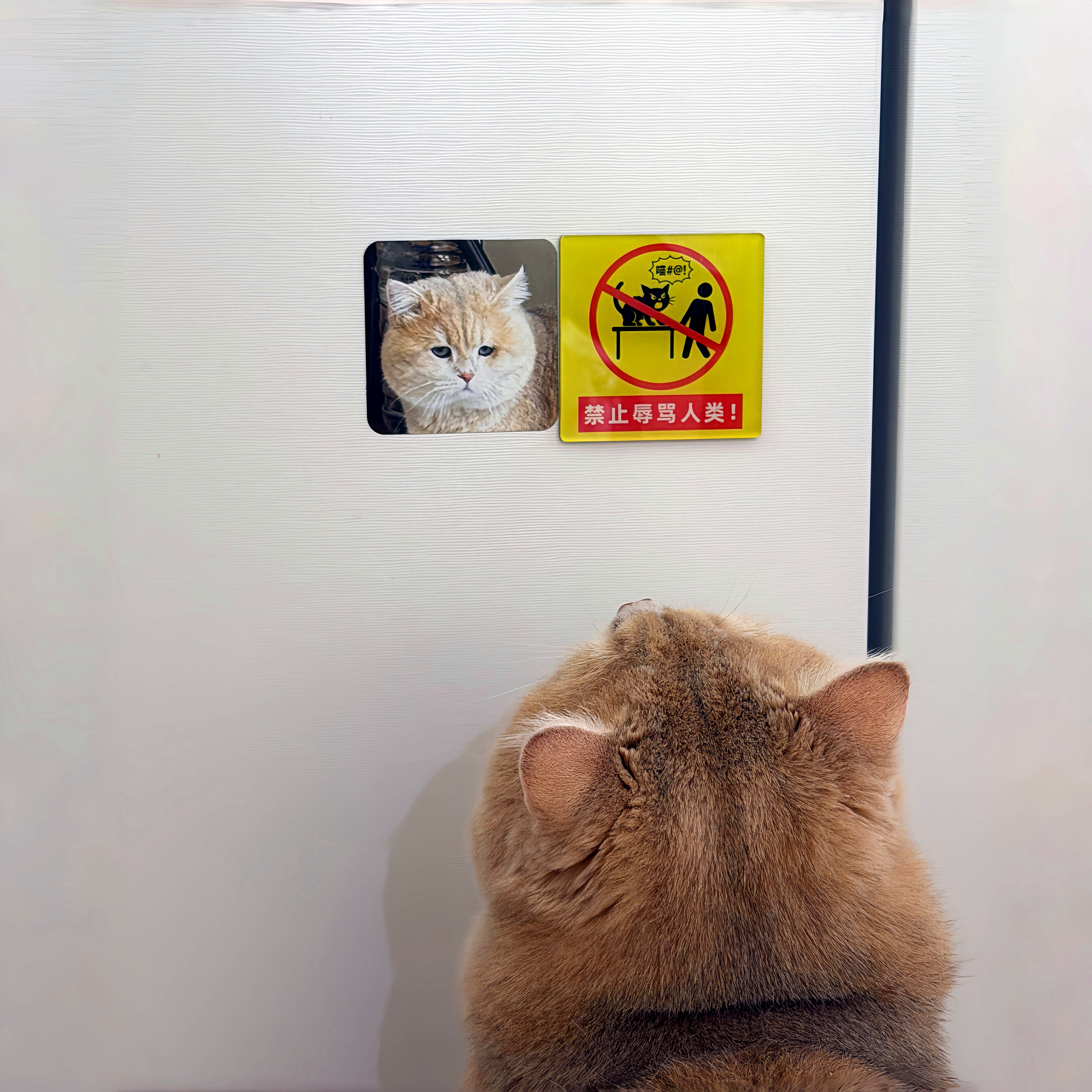 禁止辱骂人类~宠物冰箱贴定制磁吸马年冰箱贴磁吸贴2026马年新款,家居饰品,冰箱贴,淘宝优惠券,粉丝福利购,淘宝优惠卷