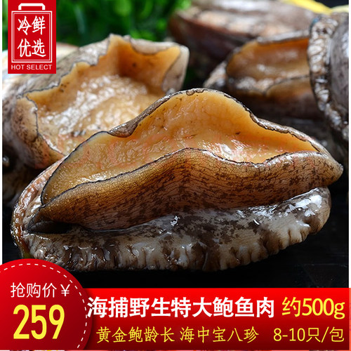 去内脏纯鲍鱼肉小鲍鱼捞汁饭滋补