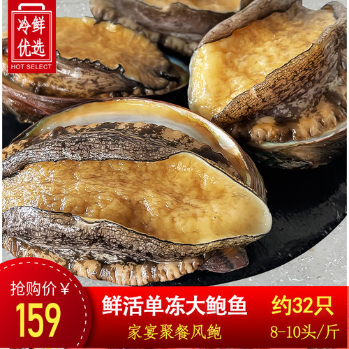 新鲜鲍鱼单冻鲜活特大活冻大鲍鱼