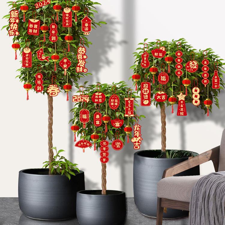 挂树上的装饰品盆栽小挂件植物小红灯笼新年春节布置用品绿植2025