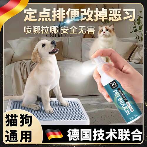 狗狗上厕所定点排便诱导