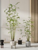 森空间模拟绿色植物装 饰竹子中国风假植物家居客厅角落彷生大型盆