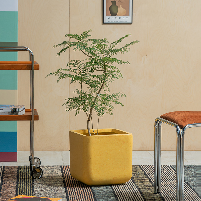 森空间仿真绿植装饰多巴胺系列简约风格花盆落地室内客厅软装搭配