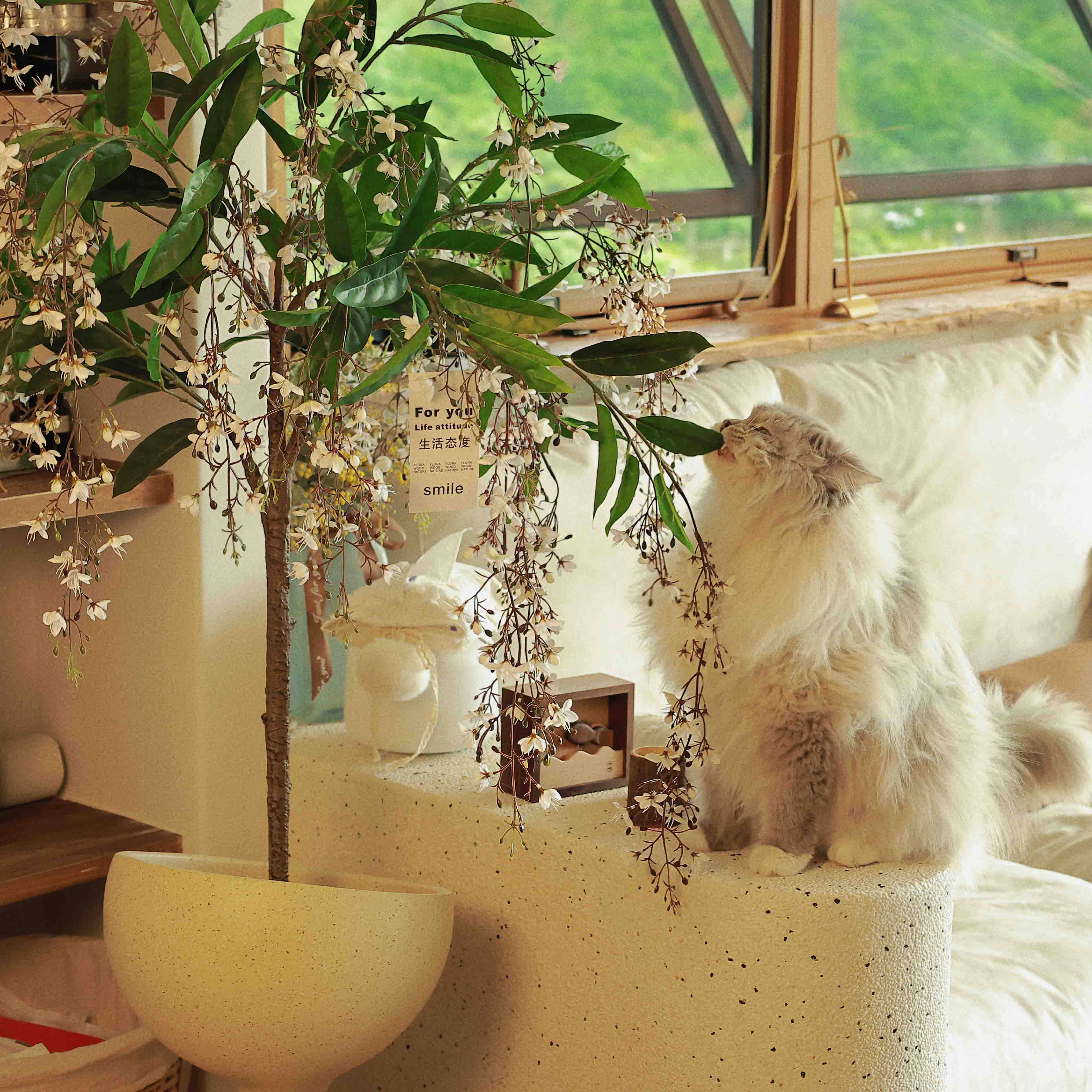 森空间仿真绿植垂丝茉莉假花