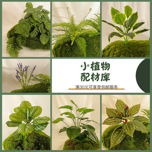 森空间仿真绿植造景配饰小植物