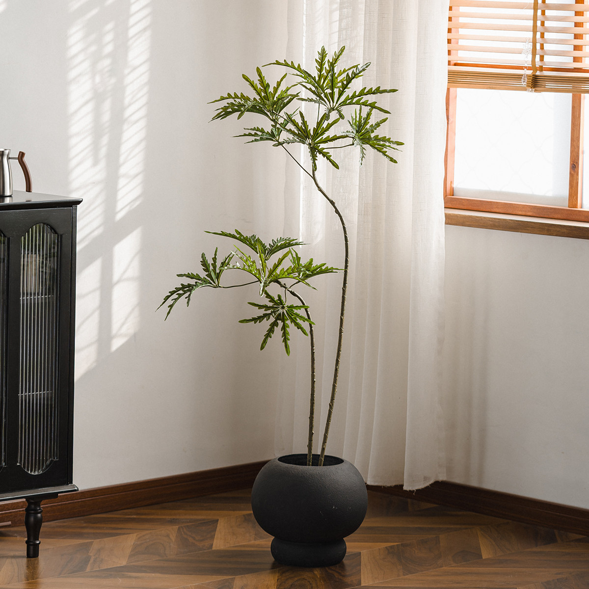 森空间仿真绿植孔雀木