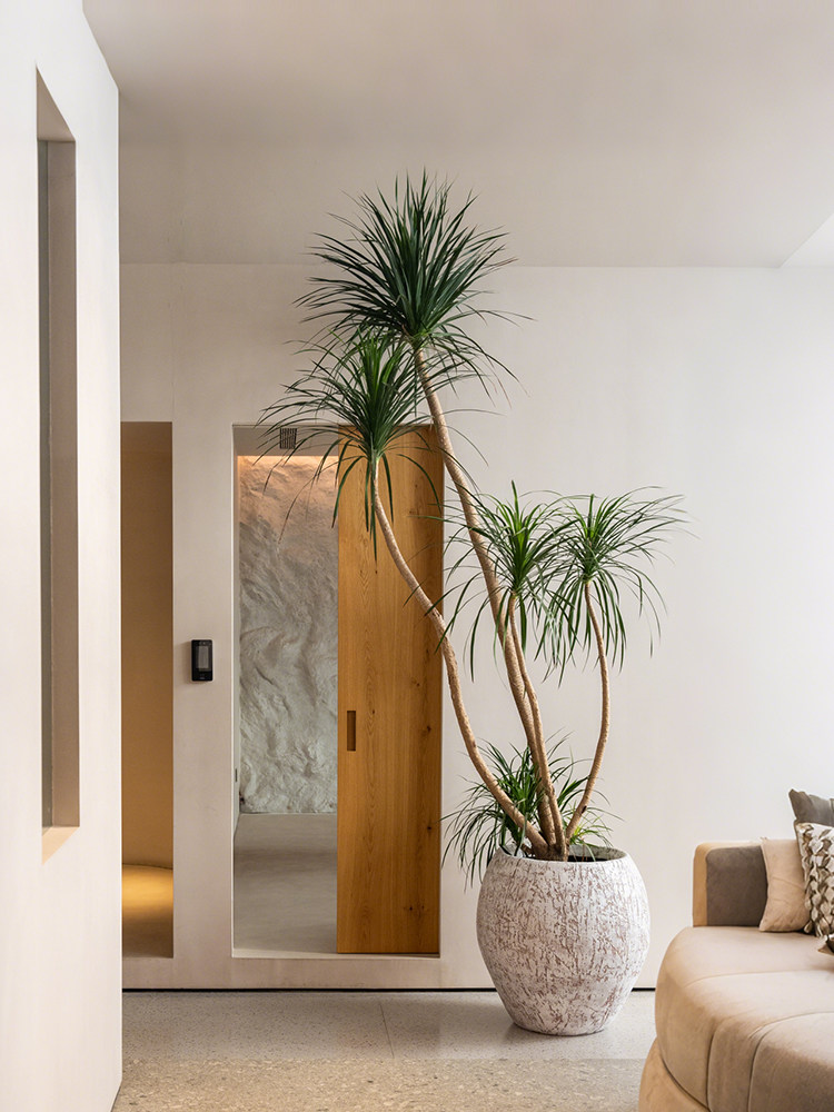 森空间装饰大花盆室内室外酒店民宿氛围感百搭软装搭配氧化镁花器