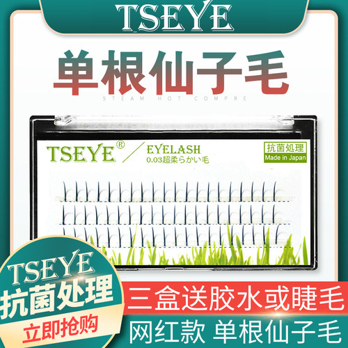 TSEYE自嫁接假睫毛女a型仙子毛