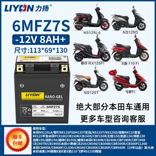 力扬摩托车电瓶通用PCX160CB190X裂行125NS125LA迪奥佳御110CM300