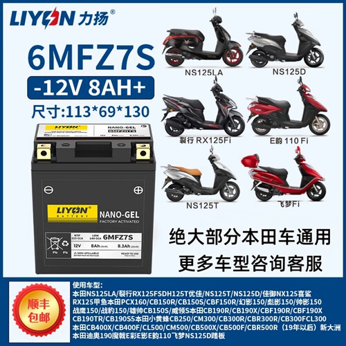 力扬摩托车电瓶通用PCX160CB190X裂行125NS125LA迪奥佳御110CM300
