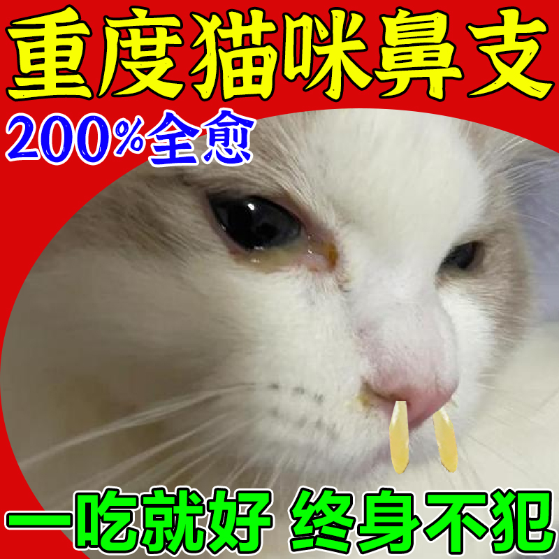 猫咪眼睛发炎泪痕抗菌消焱滴眼液