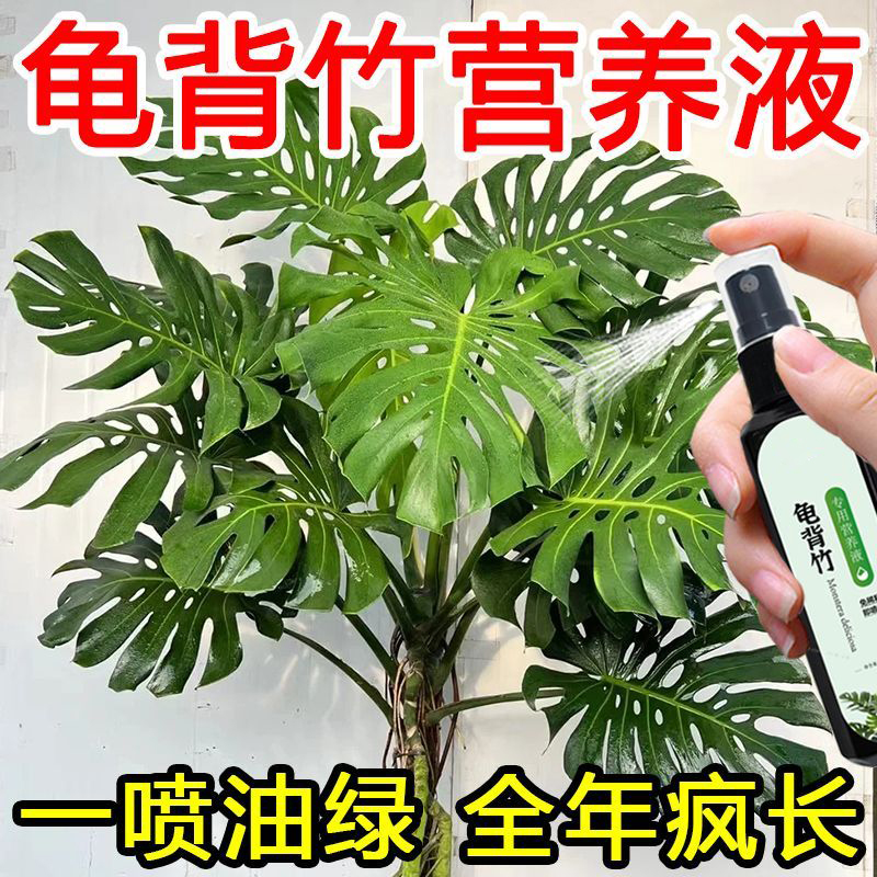 【四季常绿】龟背竹专用肥营养液防黄叶卷叶促发芽一喷绿植叶面肥