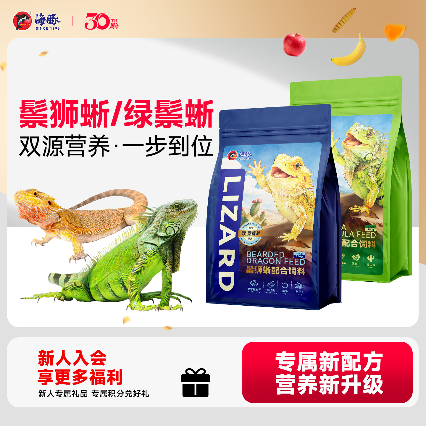 海豚鬃狮蜥专用粮蜥蜴幼体成饲料绿蜥蜴素食昆虫果蔬配方活饵替代