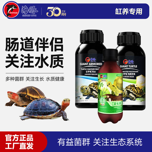 海豚活性益生菌关注肠道不适