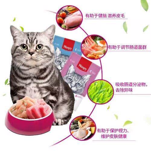 猫零食鲜封包Wanpy猫罐头