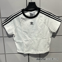 adidas三叶草短袖经典三条纹短款T恤JC8704 JC8703 JC8706 KF0314