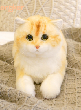 Chongker金渐层仿真猫咪玩偶毛绒玩具公仔送女孩儿童生日礼物