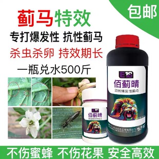 佰蓟晴 专治抗性 顽固性爆发性蓟马 虫卵双杀 农用助剂 十八补头
