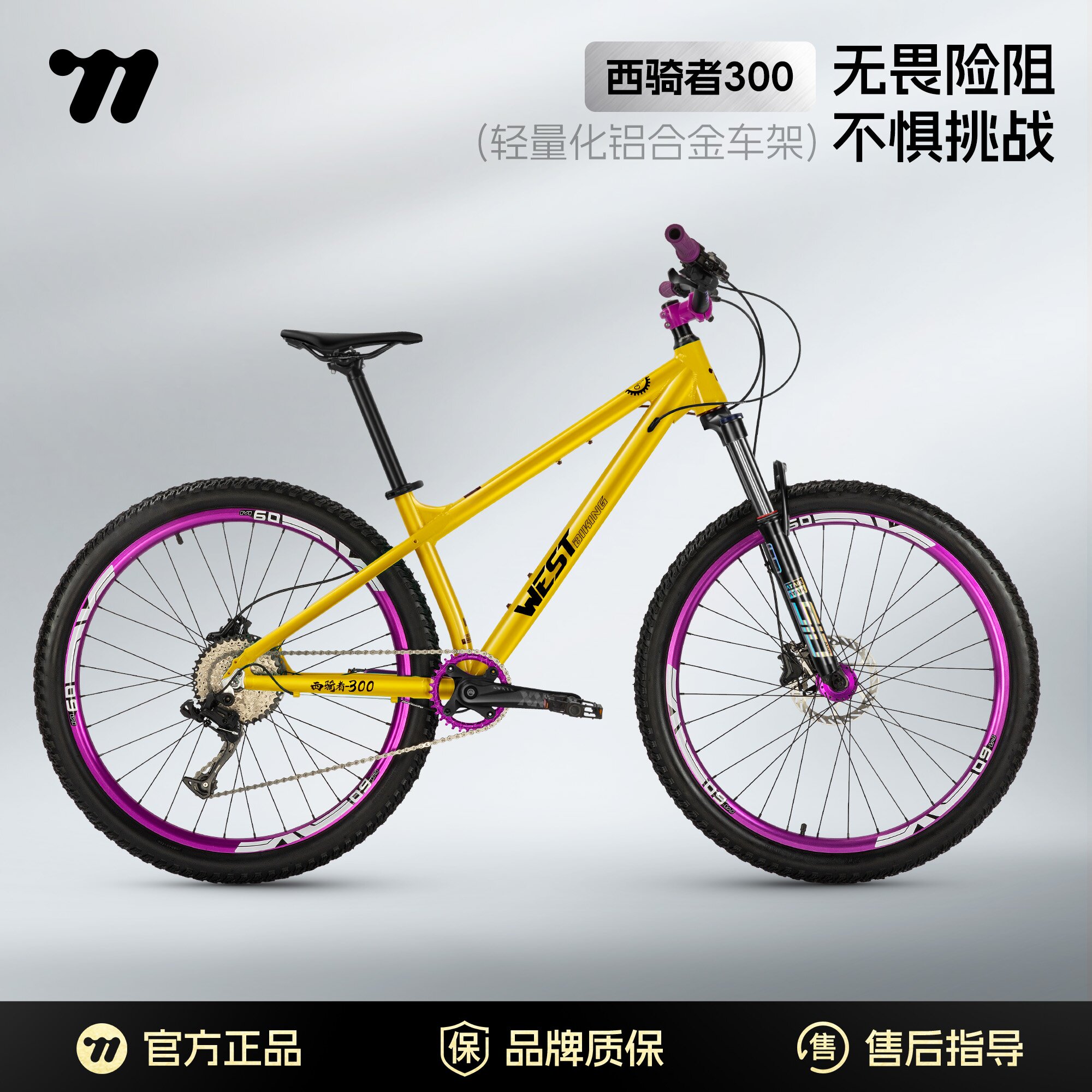西骑者300山地车碟刹变速减震