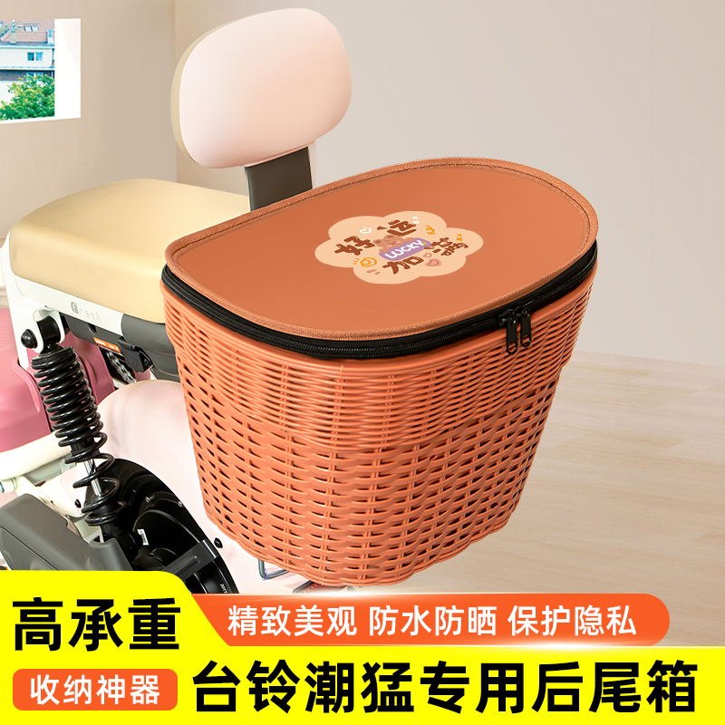 台铃潮猛G超能版电瓶车电动车专用后备箱后尾箱储物箱通用大容量