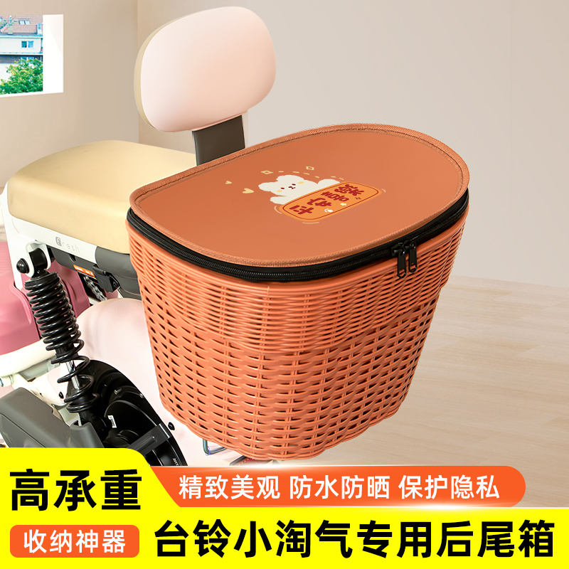 台铃小淘气G电瓶电动车专用后备箱后尾箱储物箱通用大容量改装饰