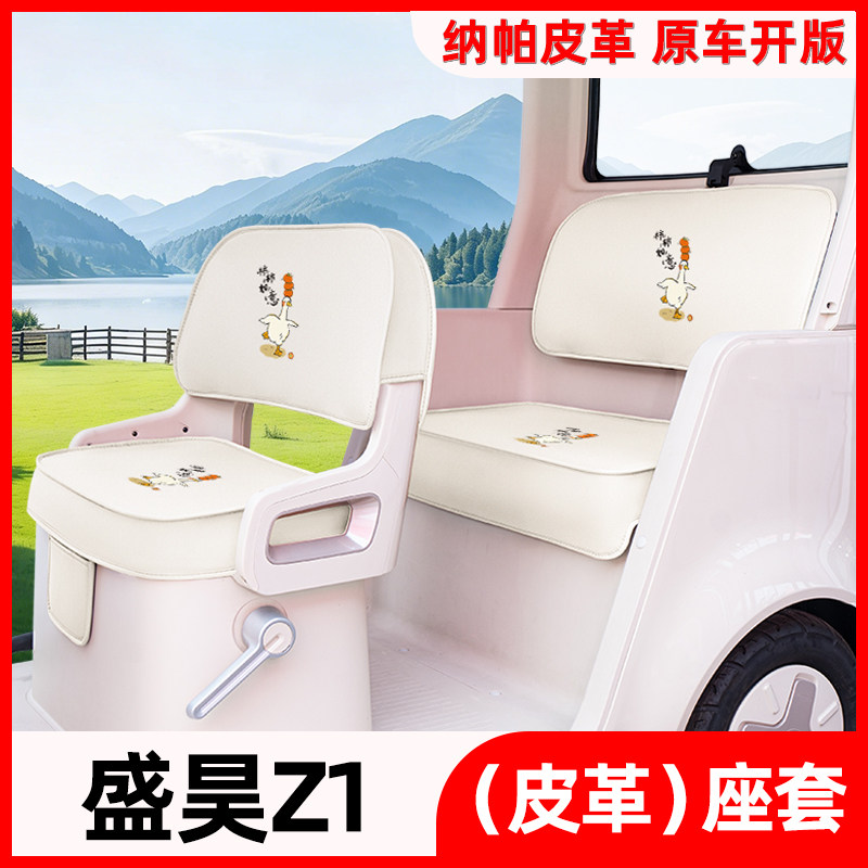 盛昊Z1电动三四轮车座套脚垫S电动车坐垫