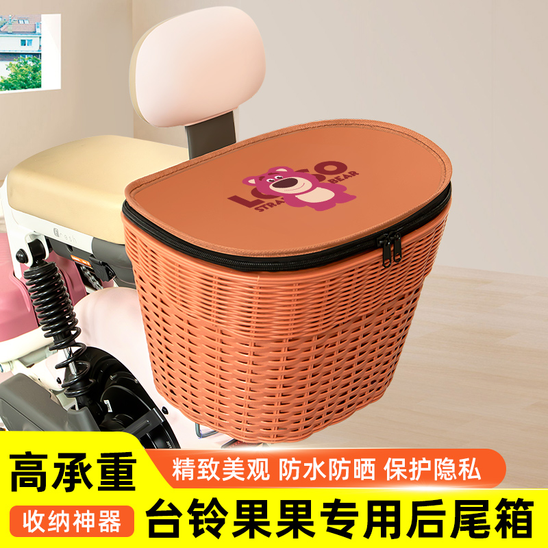 台铃果果新国标电瓶电动车专用后备箱后尾箱储物箱通用大容量装饰